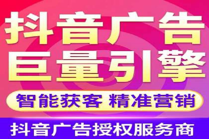 XX领域竞价广告的投放策略及效果展示